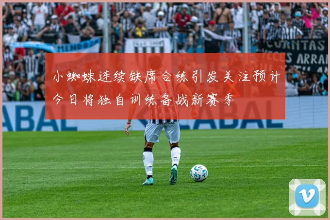 小蜘蛛连续缺席合练引发关注预计今日将独自训练备战新赛季