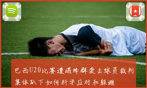 巴西U20比赛遭遇蜂群袭击球员裁判集体趴下如何科学应对和躲避